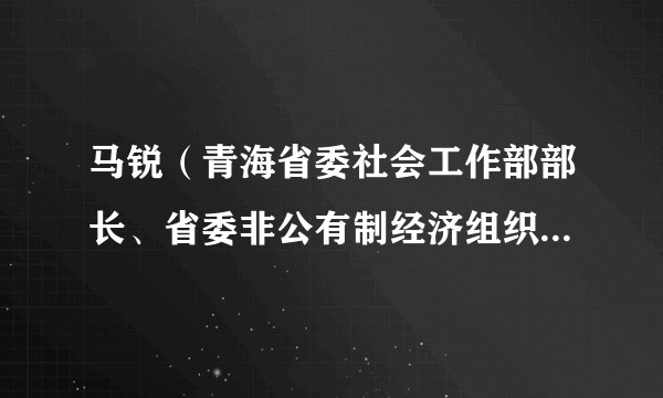 马锐（青海省委社会工作部部长、省委非公有制经济组织和社会组织工作委员会书记）