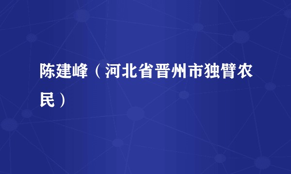 陈建峰（河北省晋州市独臂农民）