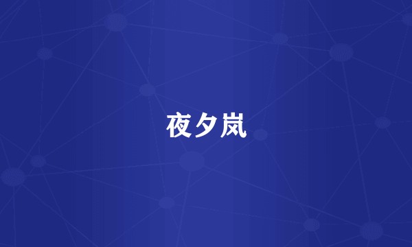 夜夕岚