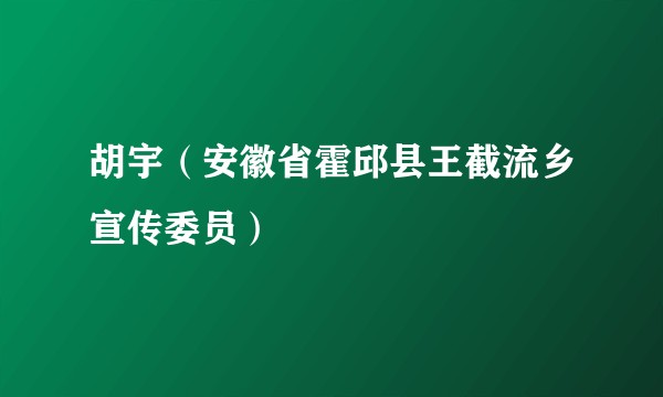 胡宇（安徽省霍邱县王截流乡宣传委员）