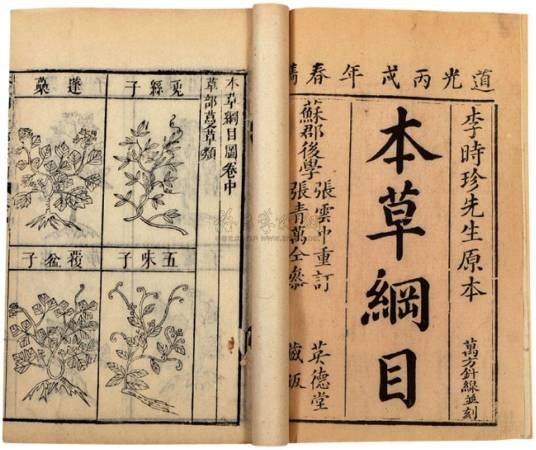 本草纲目（中医典籍）