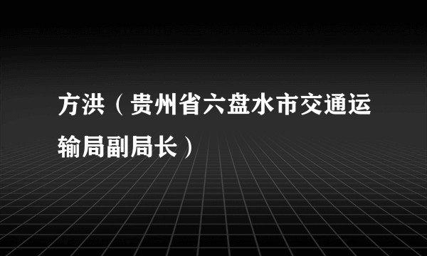 方洪（贵州省六盘水市交通运输局副局长）