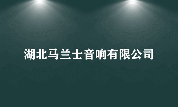湖北马兰士音响有限公司