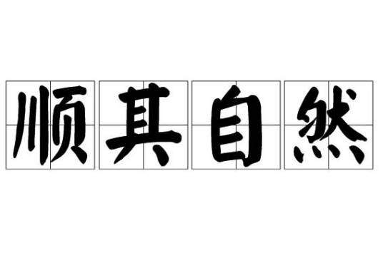 顺其自然（汉语成语）