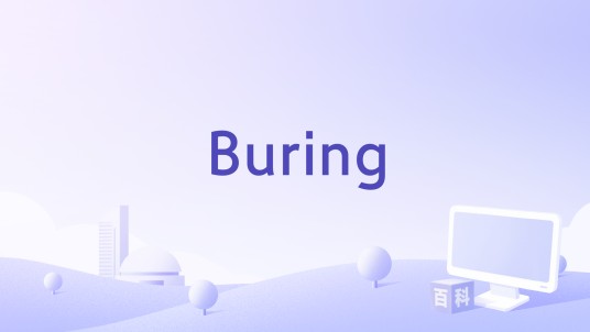 Buring（韩国2016年李沧东执导的电影）