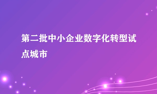 第二批中小企业数字化转型试点城市