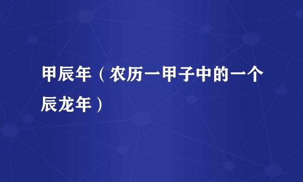 甲辰年（农历一甲子中的一个辰龙年）