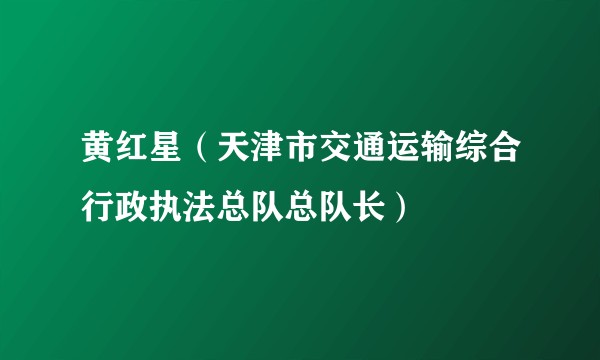 黄红星(天津市交通运输综合行政执法总队总队长)