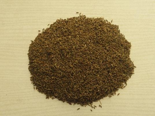 孜然（伞形科植物伞形科孜然芹属植物）