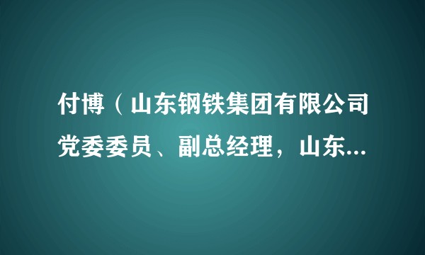 付博（山东钢铁集团有限公司党委委员、副总经理，山东钢铁集团矿业有限公司党委书记、董事长）