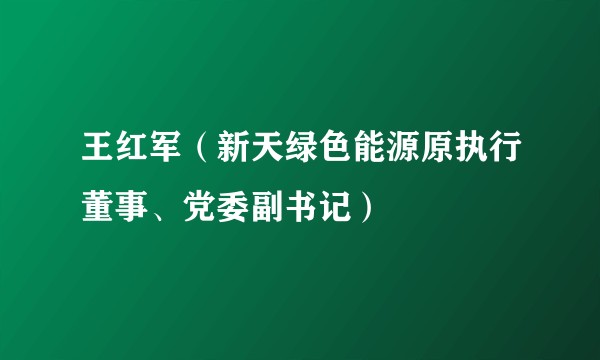 王红军(新天绿色能源原执行董事、党委副书记)