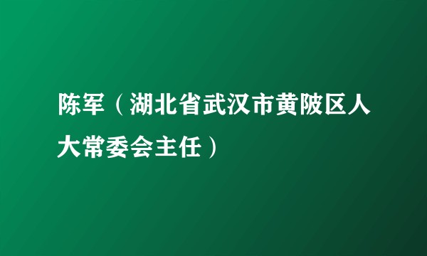 陈军（湖北省武汉市黄陂区人大常委会主任）