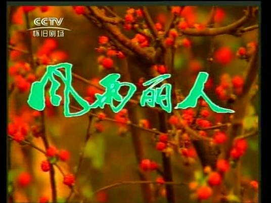 风雨丽人(1992年张静斌执导电视剧)