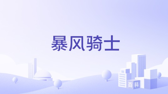 暴风骑士(高端儿童电动摩托车品牌)
