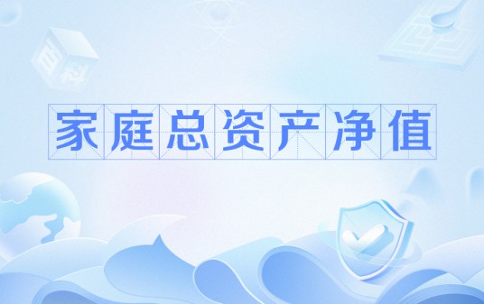 家庭总资产净值