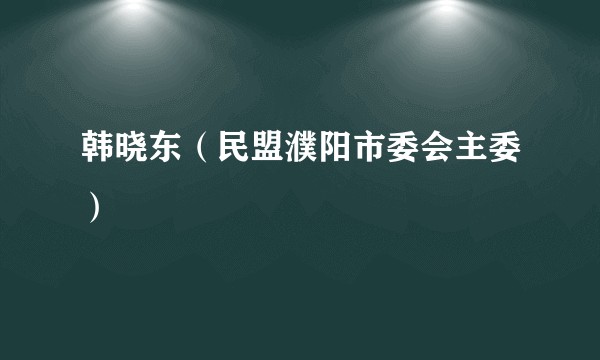 韩晓东（民盟濮阳市委会主委）