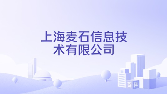 上海麦石信息技术有限公司
