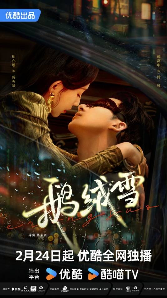 鹅绒雪（2025年陈未衾执导的电视剧）