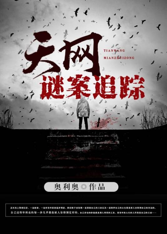 天网:谜案追踪