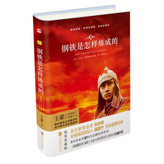 亲近经典·语文新课标必读丛书:钢铁是怎样炼成的(精装·全译本·彩版)