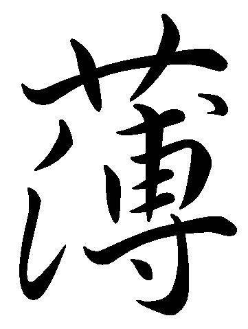薄