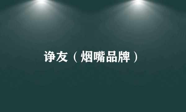 诤友(烟嘴品牌)