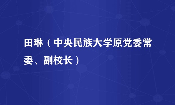 田琳（中央民族大学原党委常委、副校长）