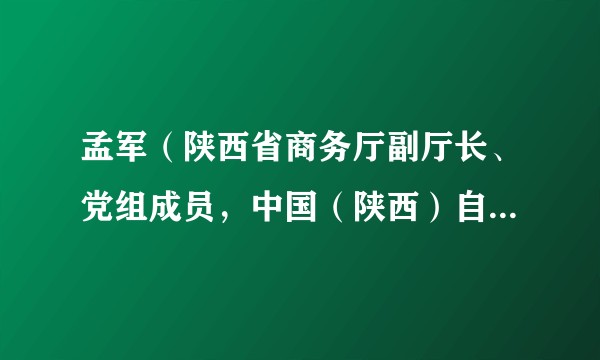 孟军(陕西省商务厅副厅长、党组成员,中国(陕西)自由贸易试验区工作办公室副主任)