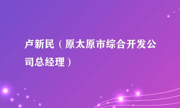 卢新民（原太原市综合开发公司总经理）