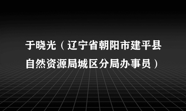 于晓光（辽宁省朝阳市建平县自然资源局城区分局办事员）