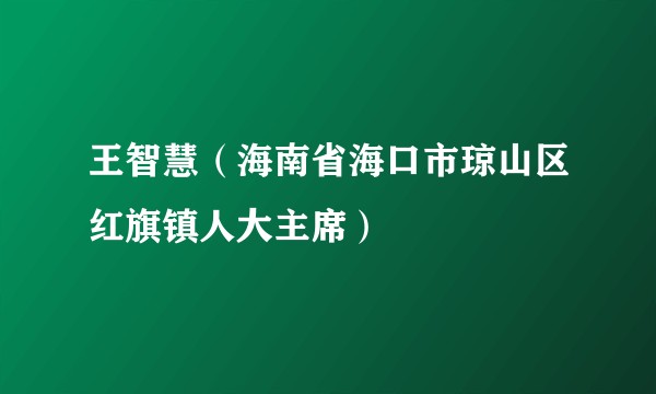 王智慧（海南省海口市琼山区红旗镇人大主席）