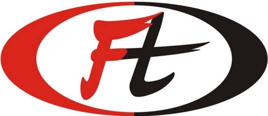 ft（中国搏击用品品牌）