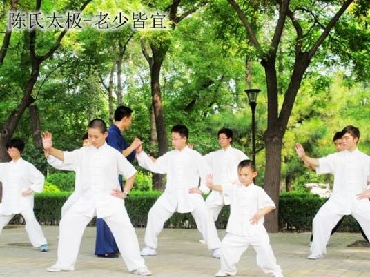 陈氏太极拳（中国传统武术）