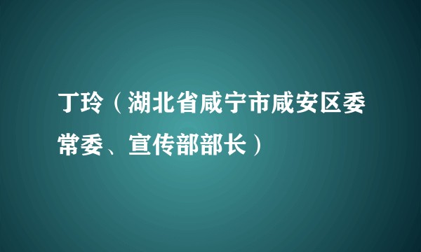 丁玲（湖北省咸宁市咸安区委常委、宣传部部长）