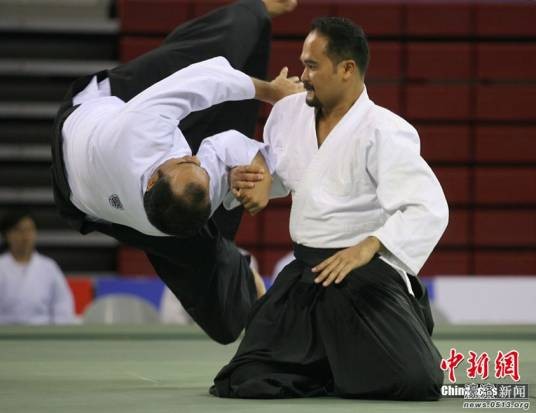 合气道(格斗武术)
