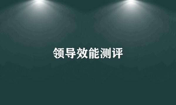 领导效能测评