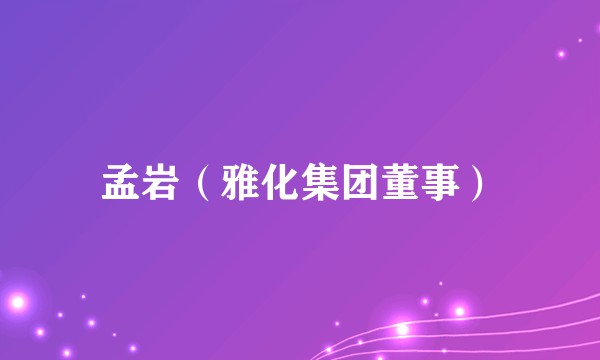 孟岩(雅化集团董事)