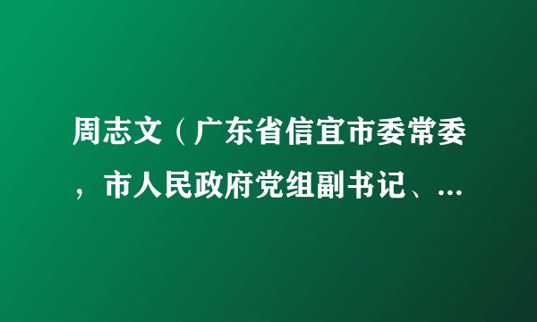 周志文（广东省信宜市委常委，市人民政府党组副书记、常务副市长）