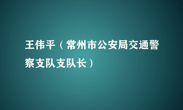 王伟平（常州市公安局交通警察支队支队长）