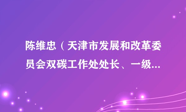 陈维忠（天津市发展和改革委员会双碳工作处处长、一级调研员）