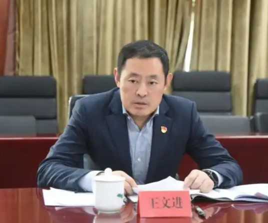王文进(中国农业银行股份有限公司党委委员、副行长)