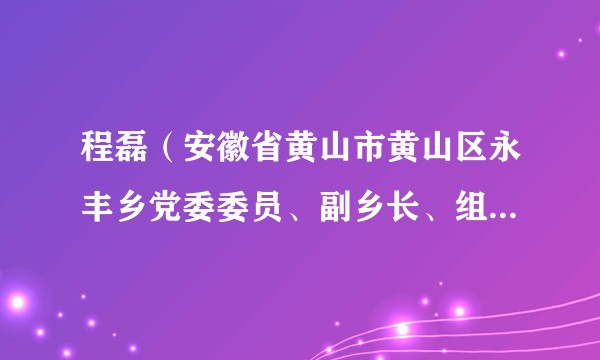 程磊（安徽省黄山市黄山区永丰乡党委委员、副乡长、组织委员）