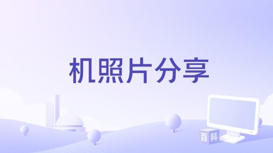 机照片分享
