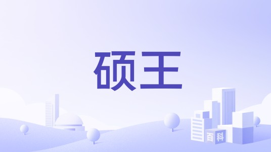 硕王