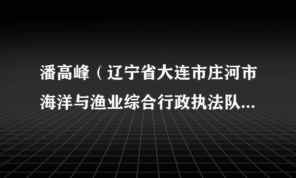 潘高峰（辽宁省大连市庄河市海洋与渔业综合行政执法队渔政执法室检查员）
