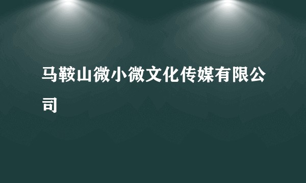 马鞍山微小微文化传媒有限公司