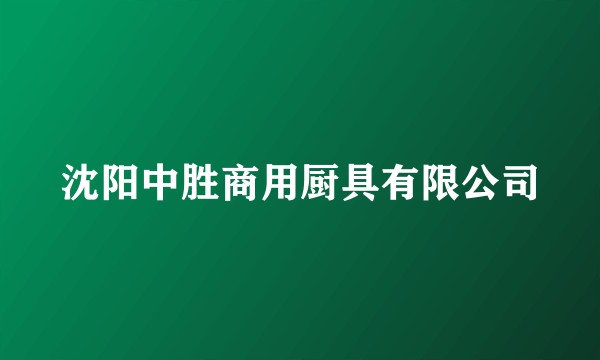 沈阳中胜商用厨具有限公司
