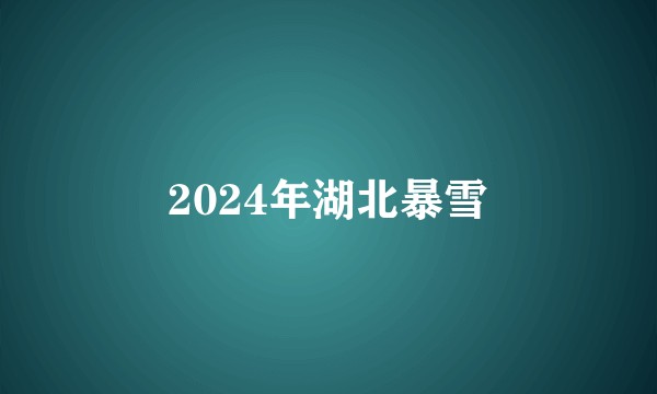 2024年湖北暴雪