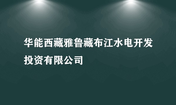 华能西藏雅鲁藏布江水电开发投资有限公司
