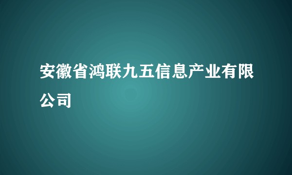 安徽省鸿联九五信息产业有限公司